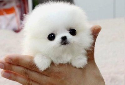 Screenshot-2025-10-17-121145