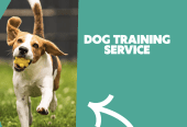 Personal Dog Trainer