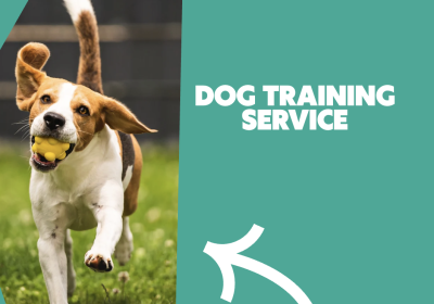 Screenshot-2025-10-17-at-10.33.57-AM