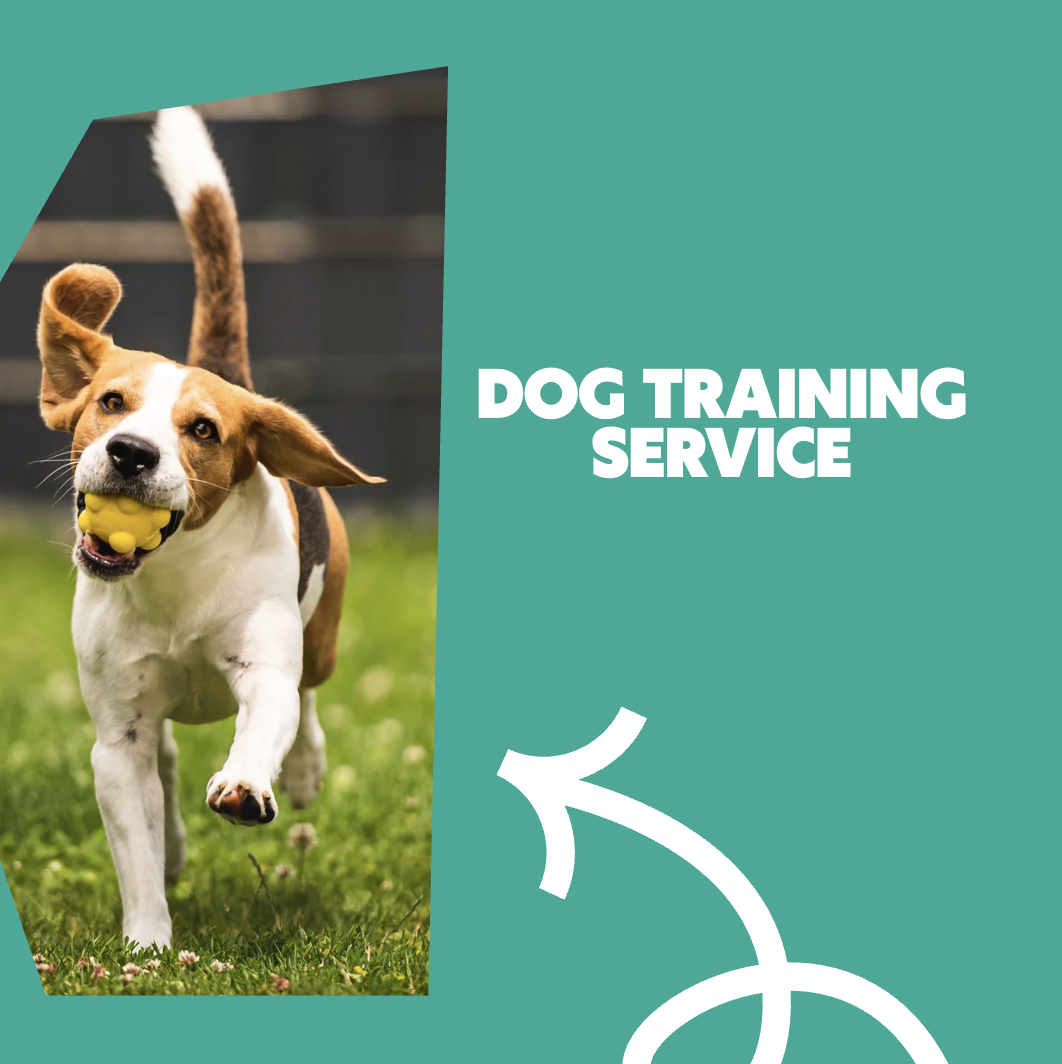 Personal Dog Trainer