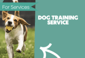 Personal Dog Trainer